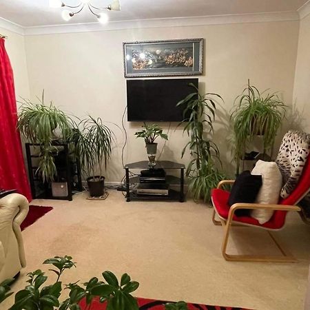 Cozy Homestay London Borough of London Borough of Croydon Exteriör bild