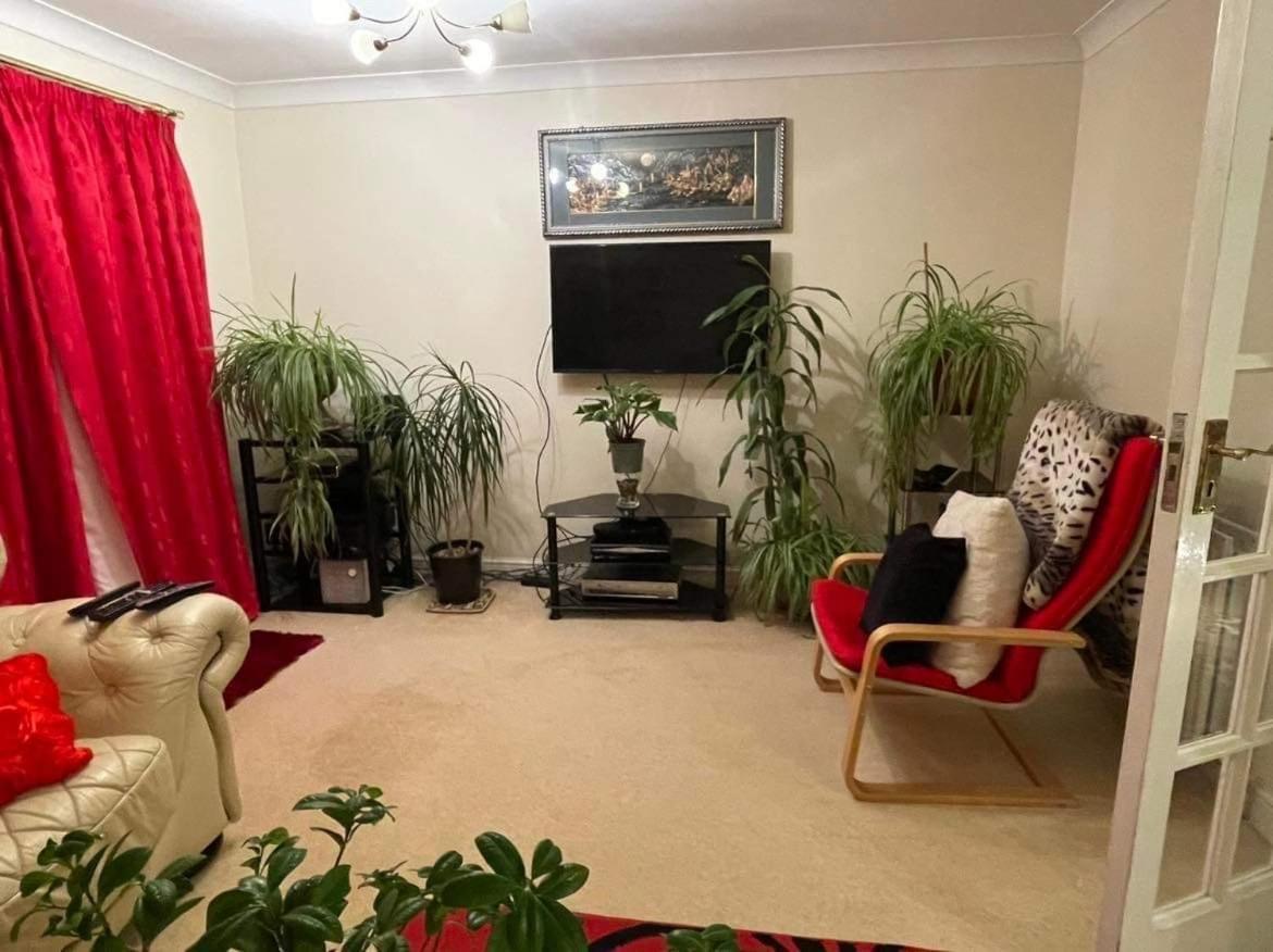 Cozy Homestay London Borough of London Borough of Croydon Exteriör bild