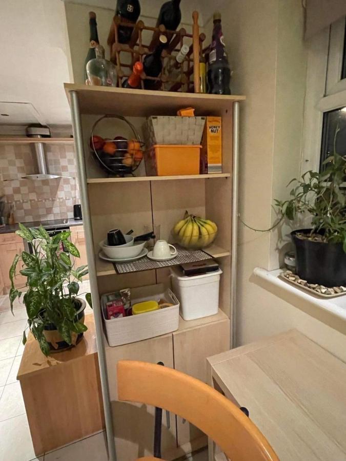 Cozy Homestay London Borough of London Borough of Croydon Exteriör bild