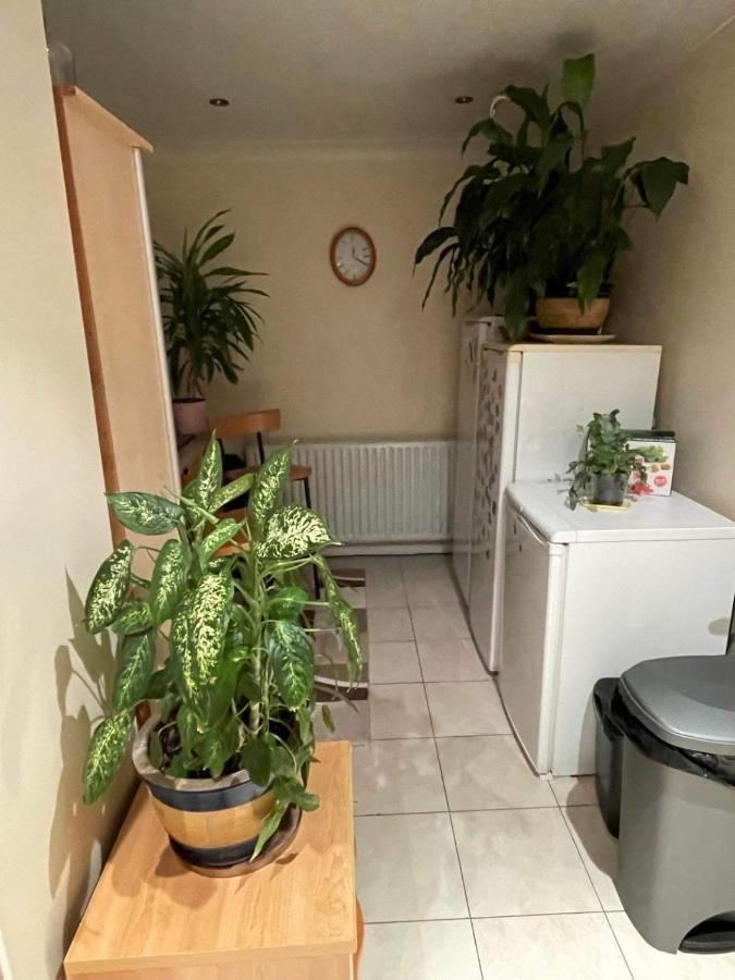Cozy Homestay London Borough of London Borough of Croydon Exteriör bild